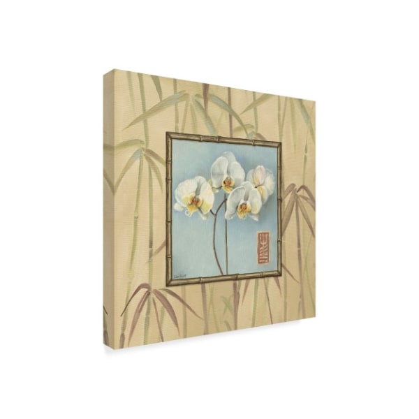 Lisa Audit 'Orchid Spa 4' Canvas Art,14x14